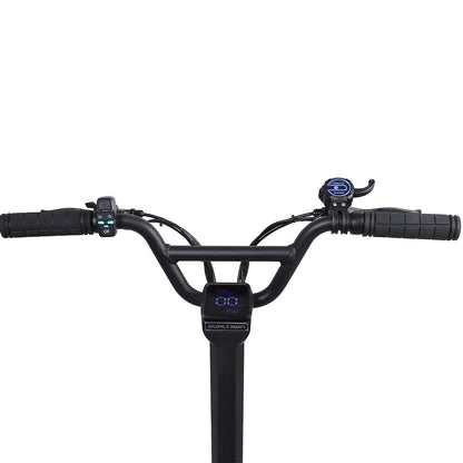 Dualtron Togo electric scooter handlebars with display screen.